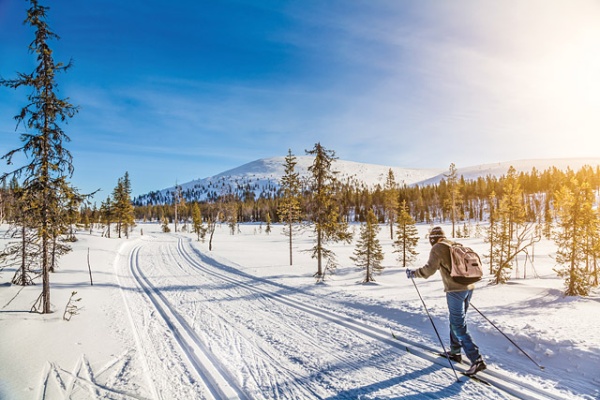 Panoramic view of male person cross-country skiing in beautiful nordic winter landscape in Scandinavia with blue sky and golden evening light at sunset, Europe; Shutterstock ID 236012335; Your name (First / Last): Jessica Cole; GL account no.: 56530; Netsuite department name: Global Publishing-WIP; Full Product or Project name including edition: Best in Travel 2017 1