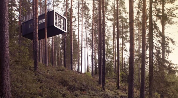 treehotel2