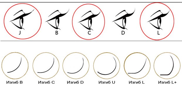 изгибы ресниц