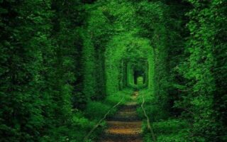 Тунель Кохання