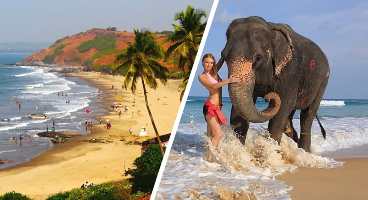 Работа на Гоа из Украины