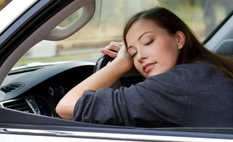 Езда за рулем во время беременности