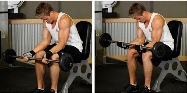 Сгибание запястий со штангой на коленях