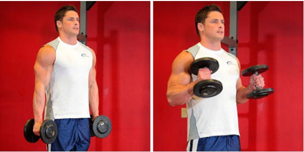 Упражнение на бицепсы «Молоток»