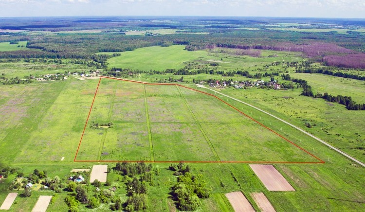 Сколько соток в 1 га