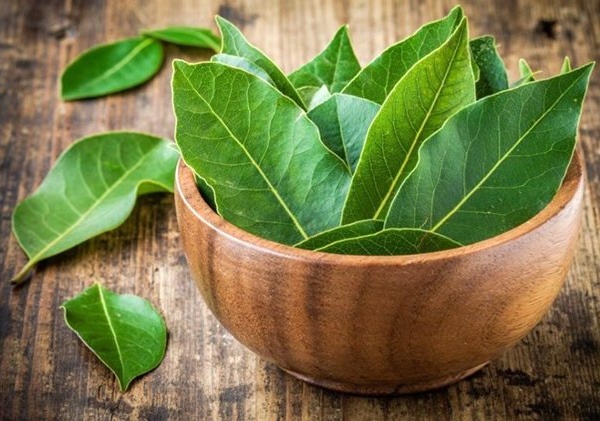 Базилік і лавровий лист