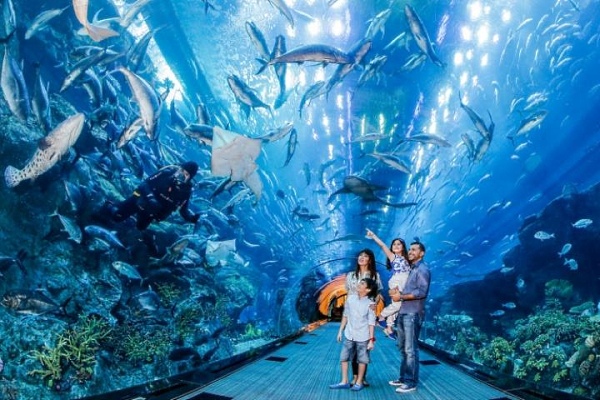 Что посетить с детьми в ОАЭ