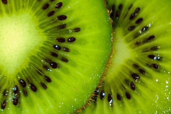 Польза киви для здоровья