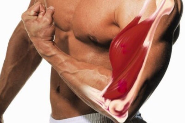 Чому виникає біль у м'язах?