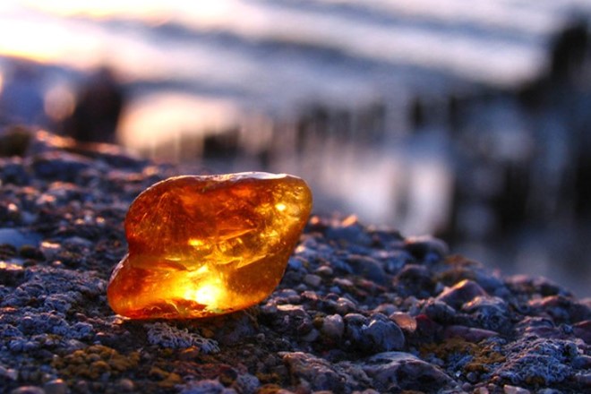 Цікаві факти про бурштин