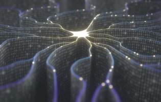 Нейросети для любых задач