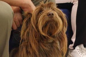 єКуточок - у Києві