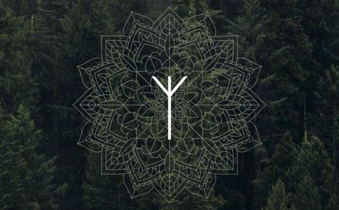 Руна Альгіз