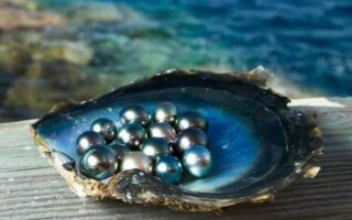 як утворюється перлина