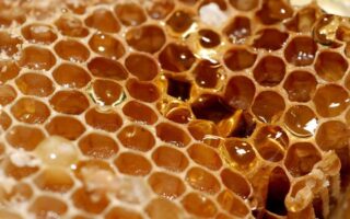 Що таке перга