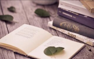 Що таке сенкан