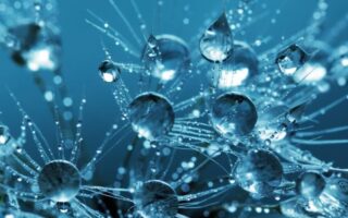 Що таке точка роси