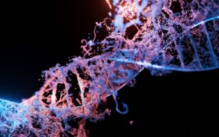 Що таке мутація