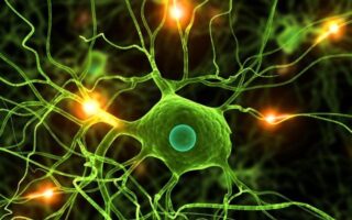 Що таке нейрон