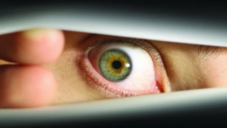 Що таке параноя