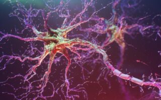 Що таке мутагенез