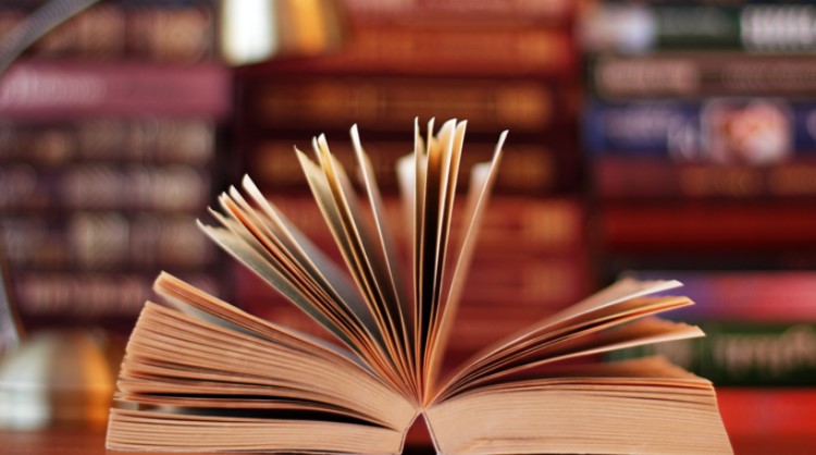 Що таке роман