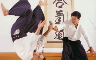 Що таке айкідо