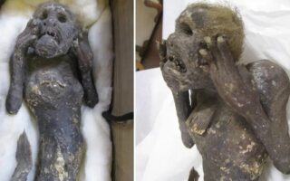 Розгадка тайни мумії русалки