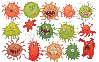 Цікаві факти про мікроби