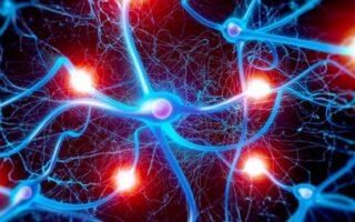 Що таке гормони