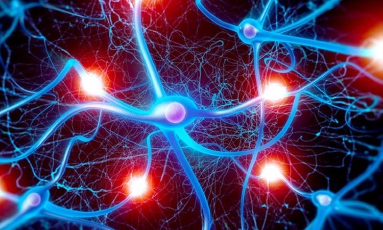 Що таке гормони