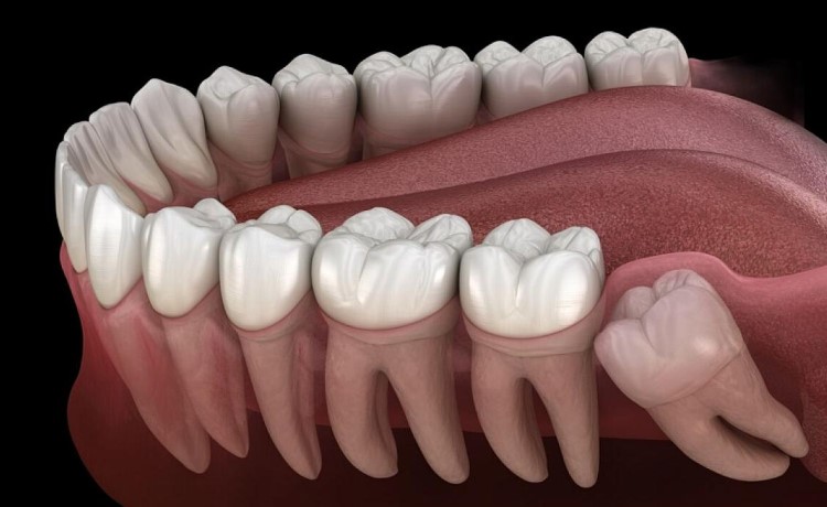 Цікаві факти про зуби