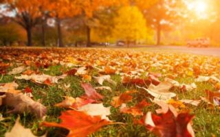 Жовтень 2023 – Найгарячіший у Історії