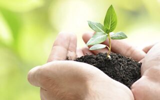 Хто такий еколог