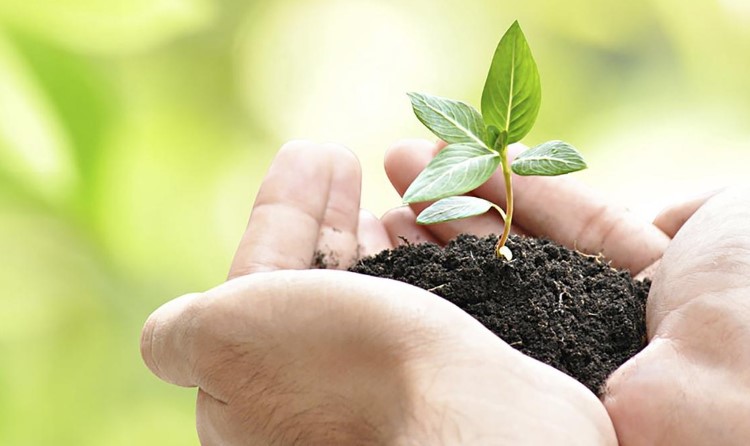 Хто такий еколог