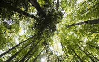 Що таке екологія