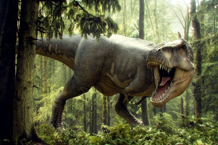 тиранозавр цікаві факти