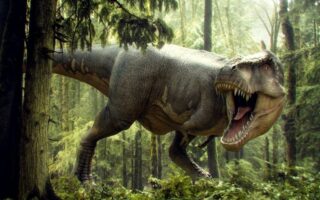 тиранозавр цікаві факти
