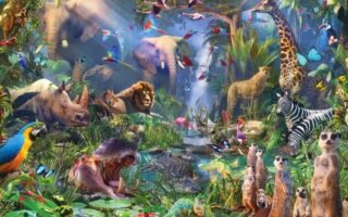 Як бачать тварини, цікаві факти