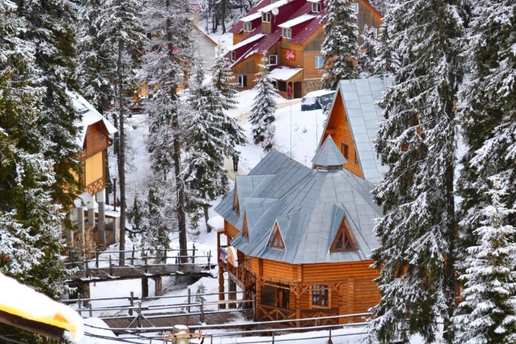 Зимовий відпочинок у Карпатах 2023