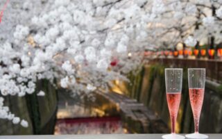 Fragolino на українському ринку: найкращі бренди