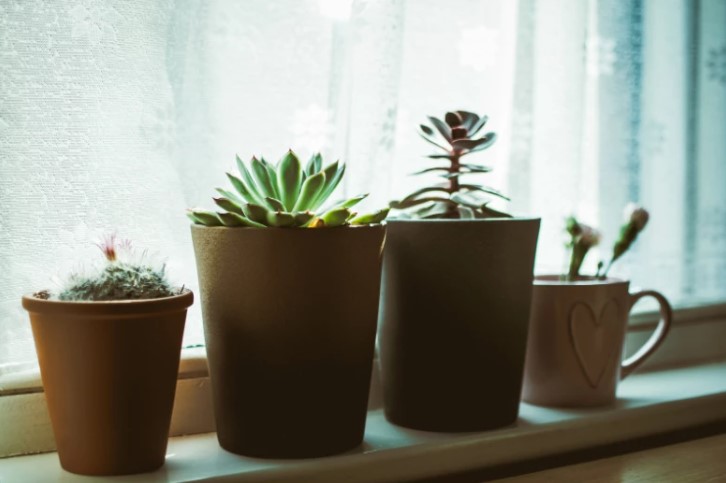 Особенности