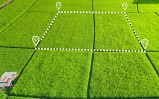 незатребувані земельні ділянки будуть визнані безхазяйними