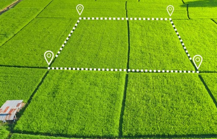 незатребувані земельні ділянки будуть визнані безхазяйними