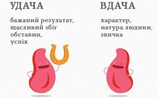 що таке пароніми