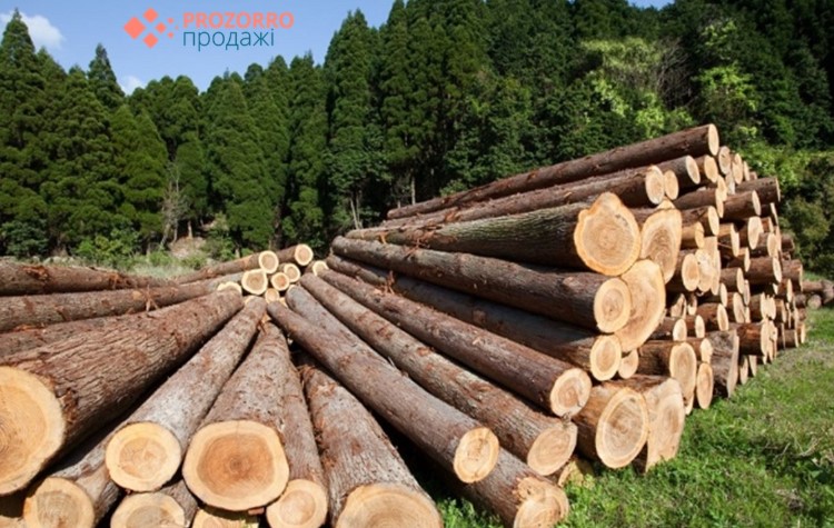 Prozorro.Продажі