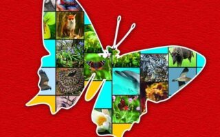 що таке червона книга україни