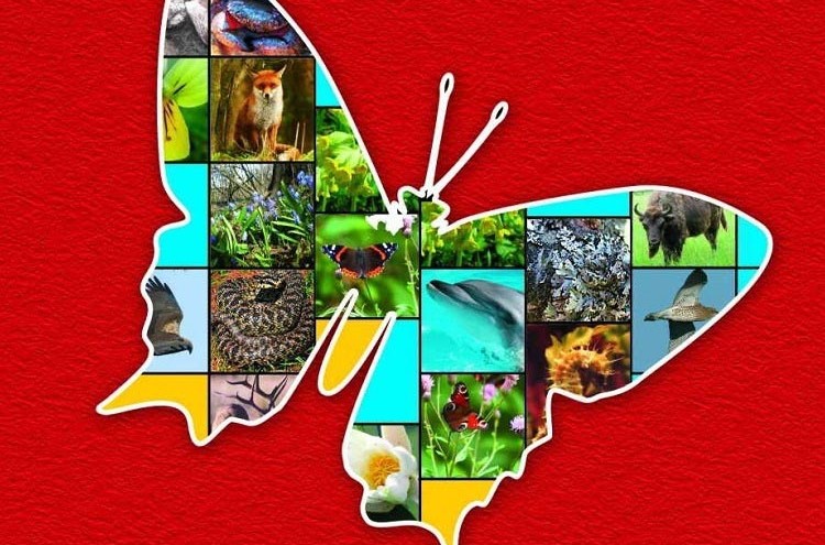 що таке червона книга україни