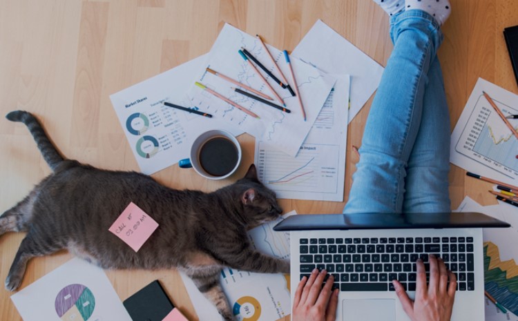 Що таке дистанційна робота