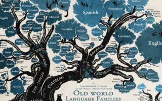 Цікаві факти про мови світу